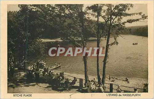 Cartes postales Bitche Plage L Etang de Hasselfurth