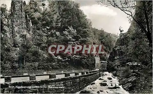 Cartes postales moderne Beim Hirschsprung im Hollental Schwarzwald