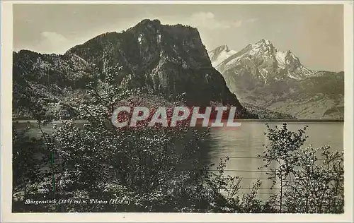 Cartes postales moderne Burgenstock Pilatus