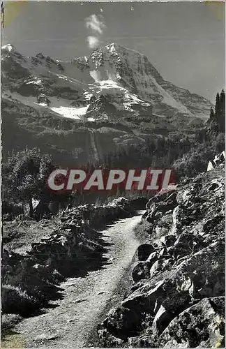 Cartes postales moderne Bei Trachsellauenen Lauterbrunnen Breithorn