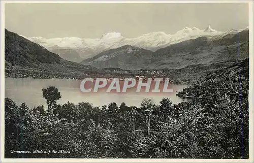 Cartes postales moderne Immensee Blick auf die Alpen