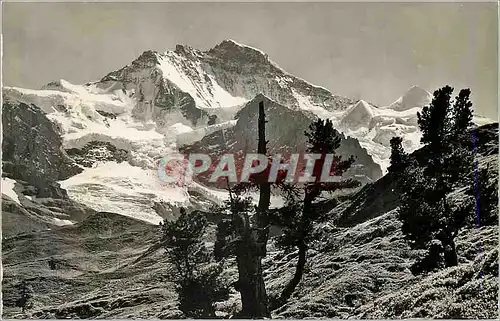 Cartes postales moderne Kl Scheldegg Jungfrau u Silberhorn