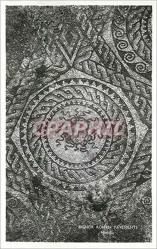 Cartes postales moderne Bignor Roman Pavements Meduta