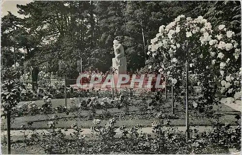 Cartes postales moderne Geneve La Roseraie du Parc de la Grange