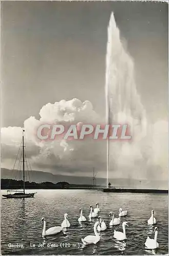 Cartes postales moderne Geneve Le Jet d'Eau (120 m) Cygnes