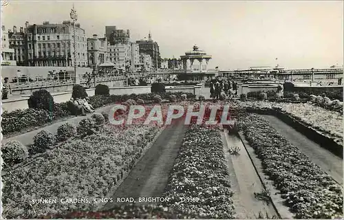 Cartes postales moderne King's Road Brighton Sunken Gardens