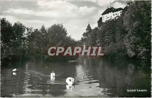 Cartes postales moderne Schlob Laupen