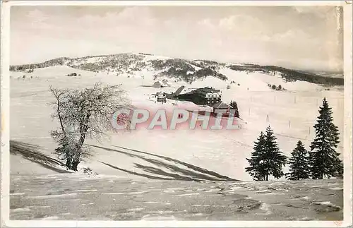 Cartes postales moderne Schauinsland (Schwarzwald 1174 m) Blick am Halden Hotel