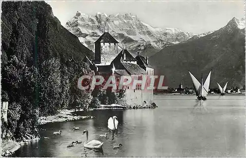 Cartes postales moderne Lac Leman Chateau de Chillon et Dents du Midi