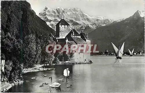 Moderne Karte Lac Leman Chateau de Chillon et Dents du Midi