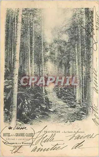 Cartes postales Pralognan La Foret de Zertan Hotel de la Grande Casse Pralognan la Vanoise