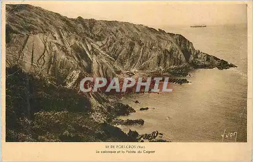 Cartes postales Ile de Port Cros (Var) La Calanque et la Pointe du Cognet