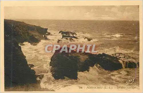 Cartes postales Pornichet (L I) La Cote Sauvage