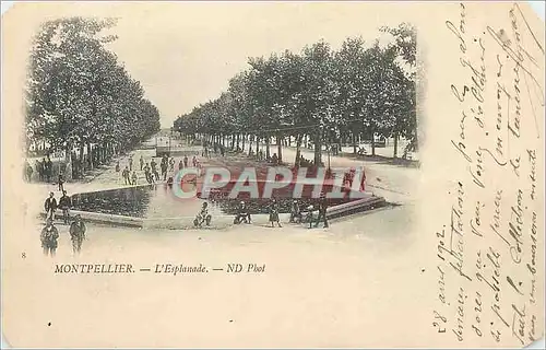 Cartes postales Montpellier L'Esplanade (carte 1900)