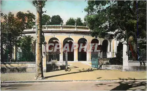 Cartes postales moderne Vichy Source des Celestins