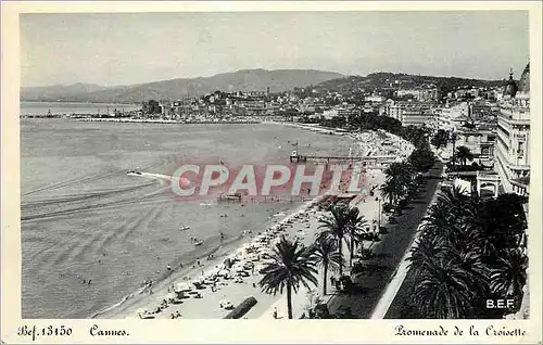 Cartes postales moderne Cannes Promenade de la Croiselle