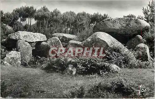 Cartes postales moderne Carnac (Morbihan) Dolmens ensemble de galeries couvertes