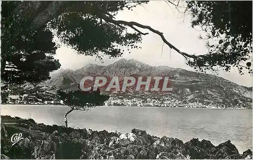 Cartes postales moderne Cap Martin Panorama sur Menton
