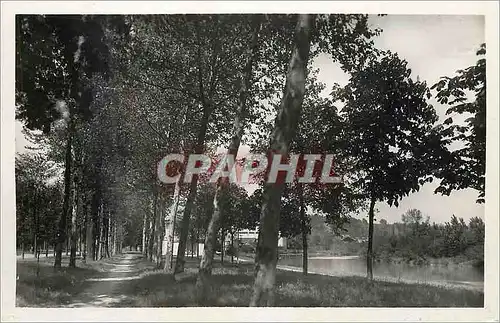 Cartes postales moderne Soissons Promenade du Mail