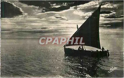 Cartes postales moderne Palavas Herault Contre Jour en Mediterranee Bateau