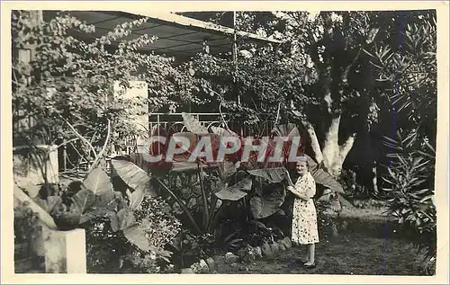 Photo Femme Plantes exotiques