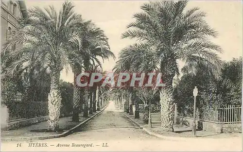 Cartes postales Hyeres Avenue Beauregard