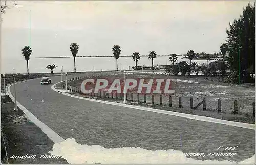 Cartes postales moderne Florida