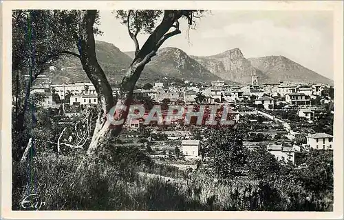 Cartes postales moderne Vence Vue Generale et les Quatre Baous