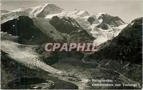 Moderne Karte Steingletscher Gwachtenhorn und Tierberge