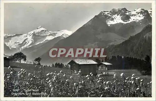 Moderne Karte Gstaad Oldenhorn und Staldenfluh