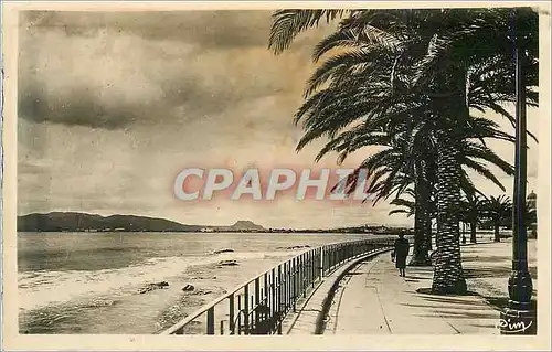 Cartes postales moderne St Raphael (Var)