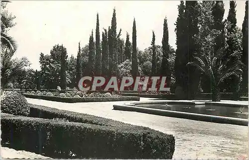 Cartes postales moderne Oujda une Allee du Parc Rene Moere