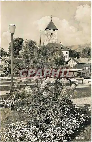 Cartes postales moderne Spiez Schloss