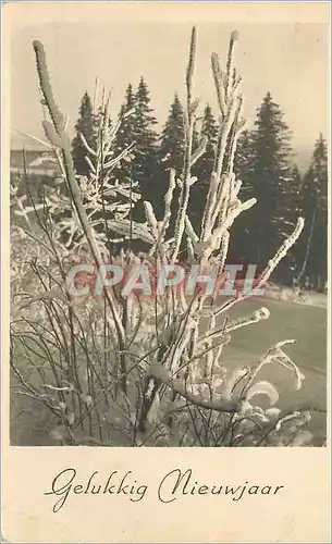 Cartes postales Gelukkig Nieuwjaar
