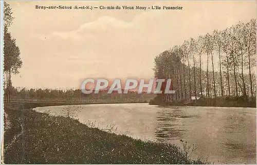 Cartes postales Bray sur Seine (S et M) Chemin du Vieux Mouy l'Ile Penancier