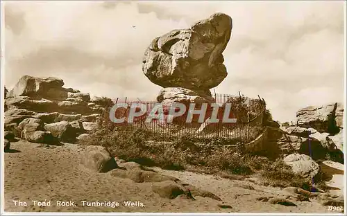 Cartes postales moderne The Toad Rock Tunbridge Wells