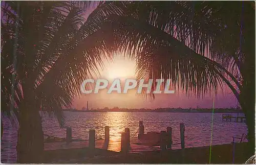 Cartes postales moderne Florida Sunset