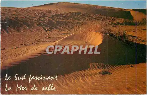 Cartes postales moderne Algerie Pittoresque Le Sud Fascinant La Mer de Sable