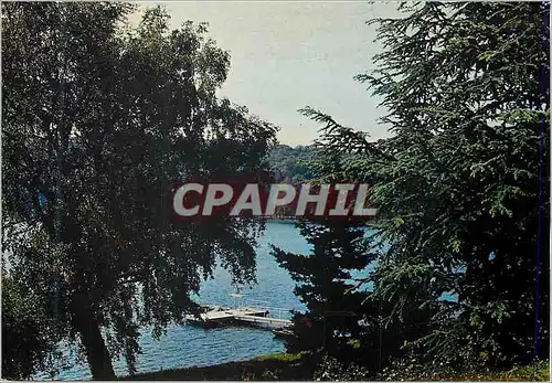 Cartes postales moderne Le Gour de Tazenat alt 640 m Vacances en Auvergne