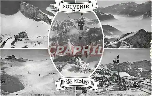 Cartes postales moderne Berneuse sur Leysin