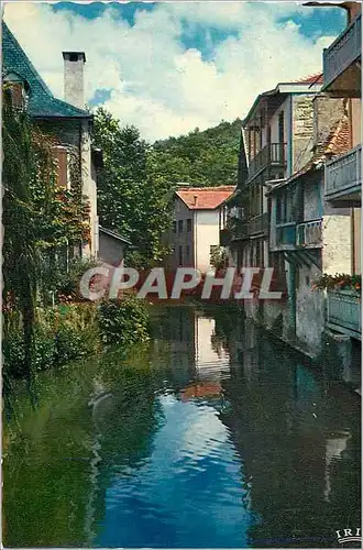 Cartes postales moderne Salies de Bearn Les Bords du Saleys