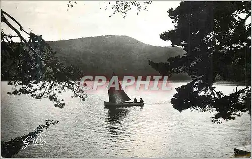 Cartes postales moderne Le Lac Pavin (alt 1197 m) que domine le Puy de Montchal L'Auvergne Ancien Cratere