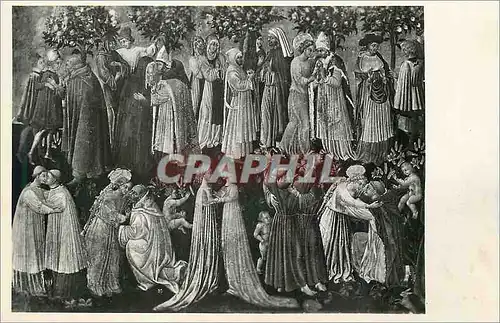 Cartes postales moderne Siena Accademia di Belle Arti