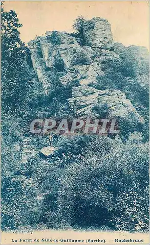 Cartes postales la Foret de Sille le Guillaume (Sarthe) Rochebrune