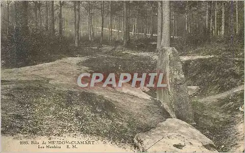 Cartes postales Bois de Meudon Clamart Les Menhirs