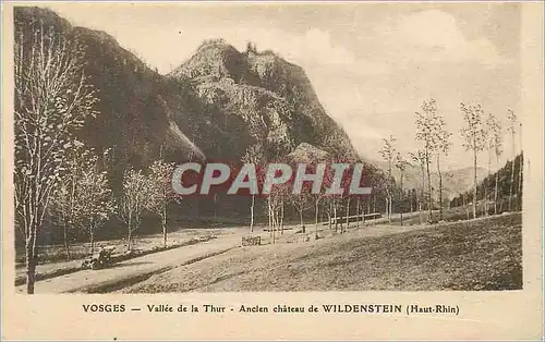 Cartes postales Vosges Vallee de Thur Ancien Chateau de Wildenstein (Haut Rhin)