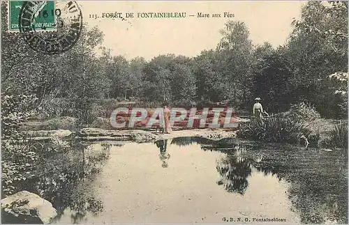 Ansichtskarte AK Foret de Fontainebleau Mare aux Fees
