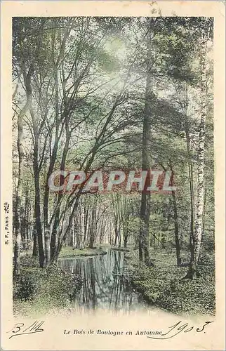Cartes postales Le Bois de Boulogne en Automne