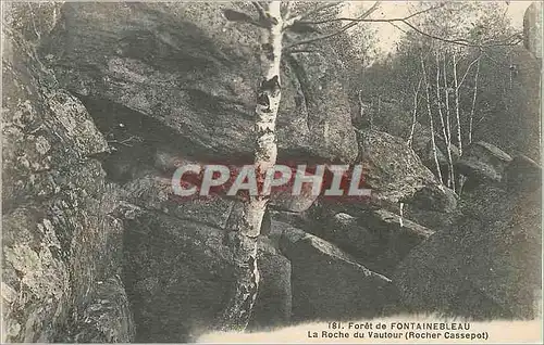 Ansichtskarte AK Foret de Fontainebleau La Roche du Vautour (Rocher Cassepot)