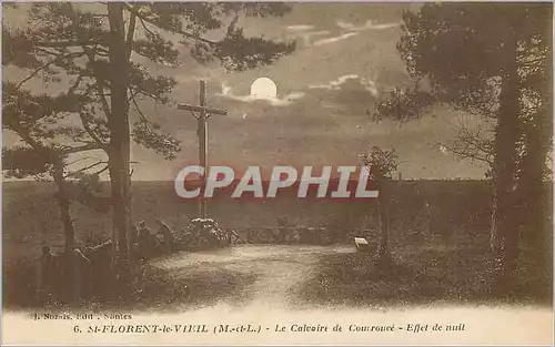 Cartes postales St Florent le Vieil (M et L) Le Calvaire Effet de Nuit